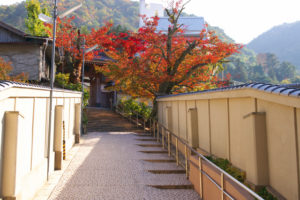 有馬 紅葉 (6)_1