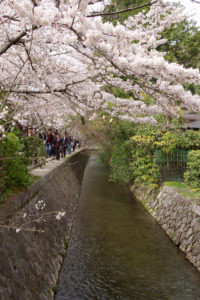 哲学の道_1