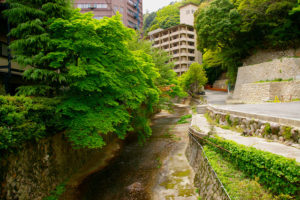 有馬滝川の新緑