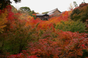 紅葉狩り？　人・・・狩り？？