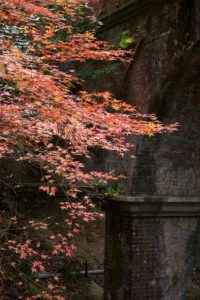 疎水橋と紅葉