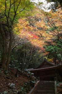 南禅寺奥の院？