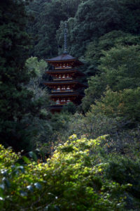 長谷寺・五重塔_1