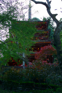 長谷寺・五重塔_2