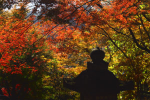 長谷寺・灯籠と紅葉 -4-