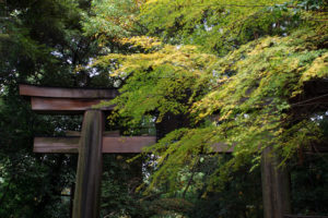 石上神社_1
