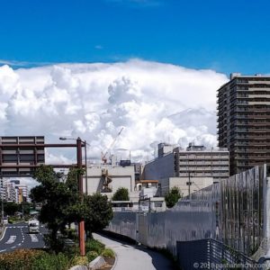 驚愕の暑い日が続いています！！_1