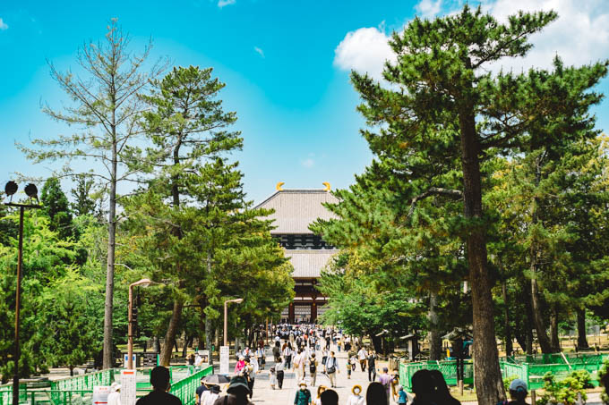 奈良・東大寺に出かけてきました。