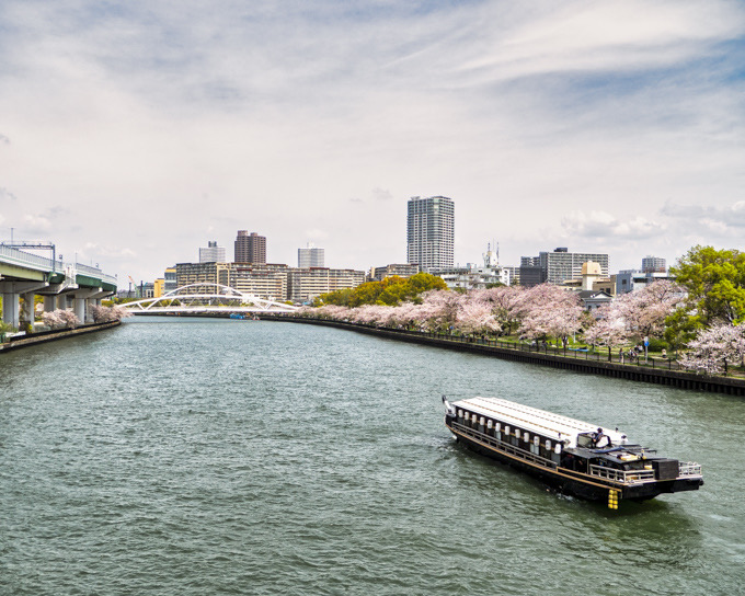  都島橋からの大川と桜
