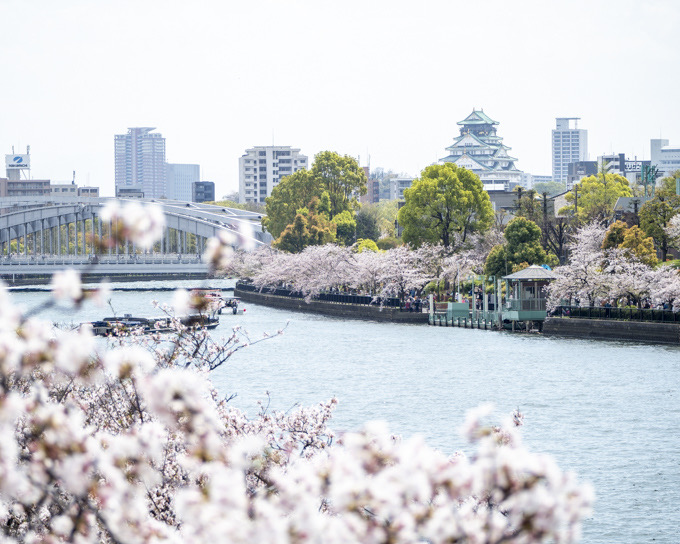 大川の桜と大阪城遠景
