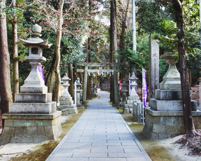 交野市星田　冬散歩