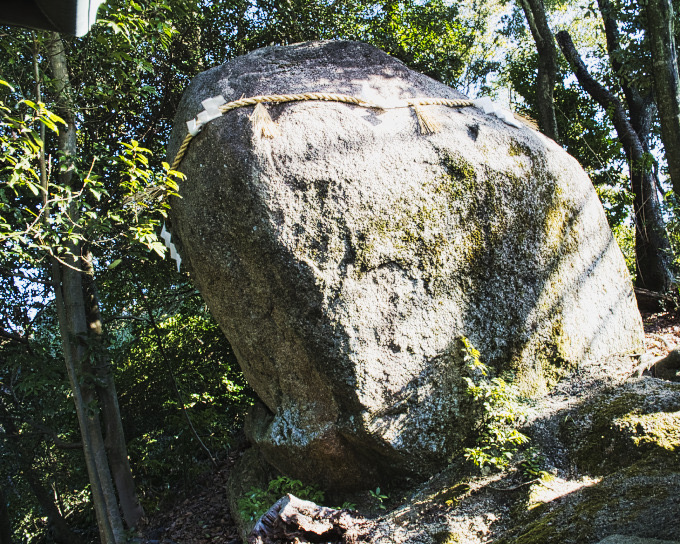 交野市星田　冬散歩