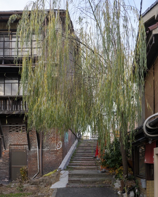 2026年正月散歩_03